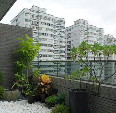THIẾT KẾ TIỂU CẢNH BAN CÔNG
