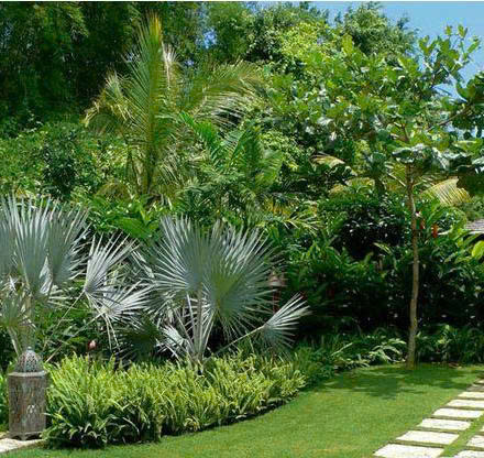 THIẾT KẾ VÀ THI CÔNG CẢNH QUAN SÂN VƯỜN