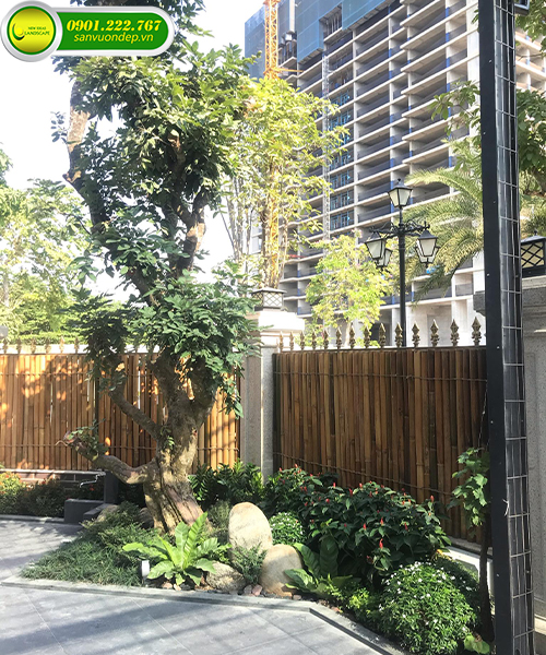 góc nhỏ sân vườn đẹp