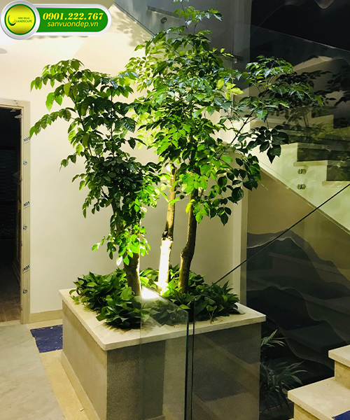 góc nhỏ sân vườn đẹp