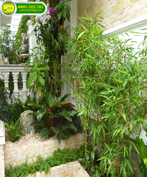 góc nhỏ sân vườn đẹp