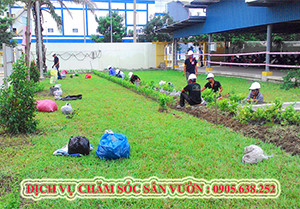 Dịch vụ chăm sóc cây cảnh sân vườn tại quận 2 tphcm