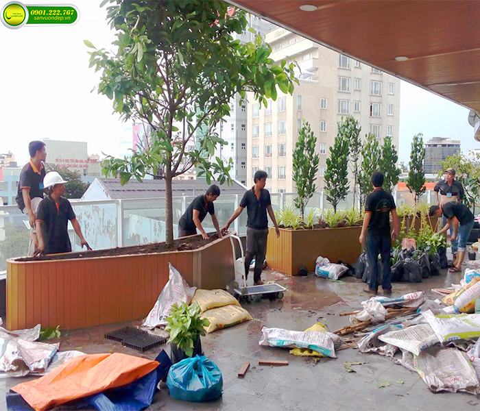 THIẾT KẾ THI CÔNG VƯỜN TRÊN MÁI KHU DÂN CƯ