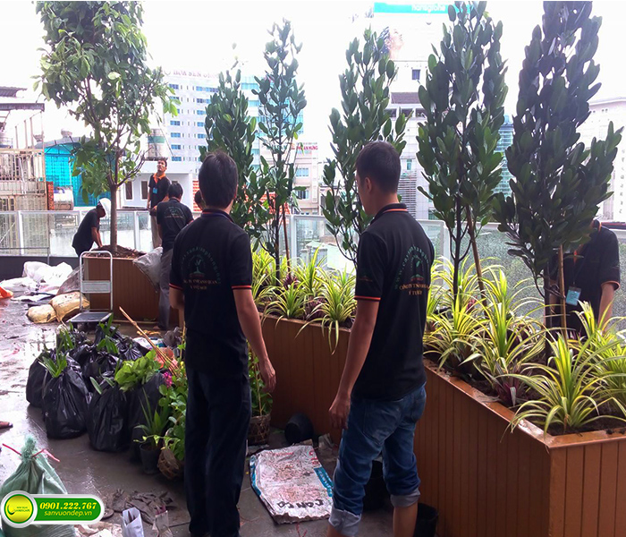 THIẾT KẾ THI CÔNG VƯỜN TRÊN MÁI KHU DÂN CƯ