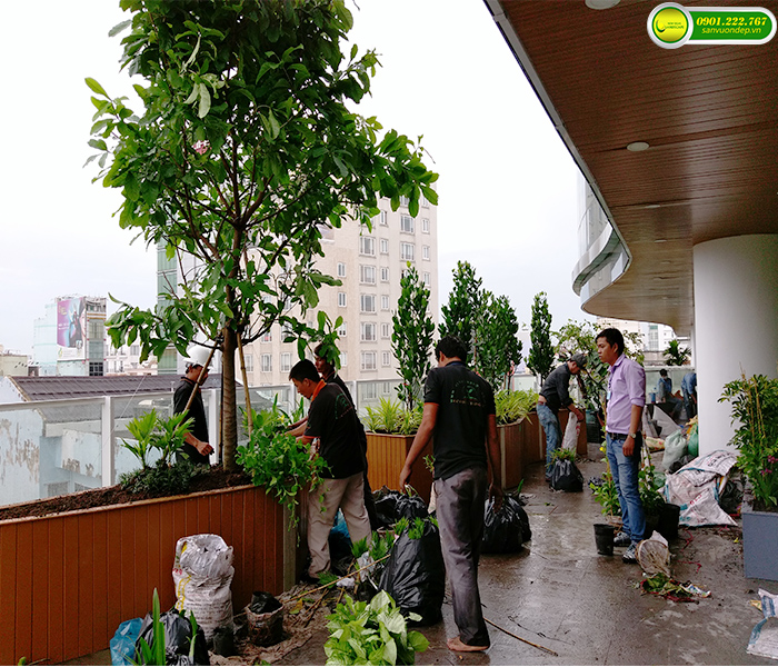 THIẾT KẾ THI CÔNG VƯỜN TRÊN MÁI KHU DÂN CƯ