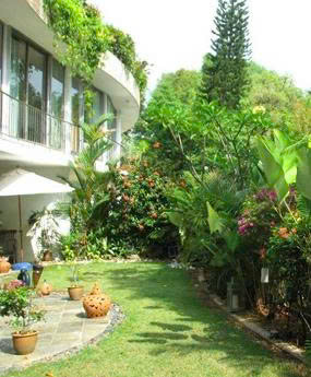 THI CÔNG TIỂU CẢNH SÂN VƯỜN
