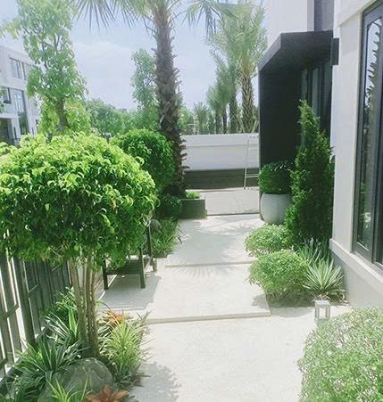 SÂN VƯỜN NHÀ PHỐ ĐẸP