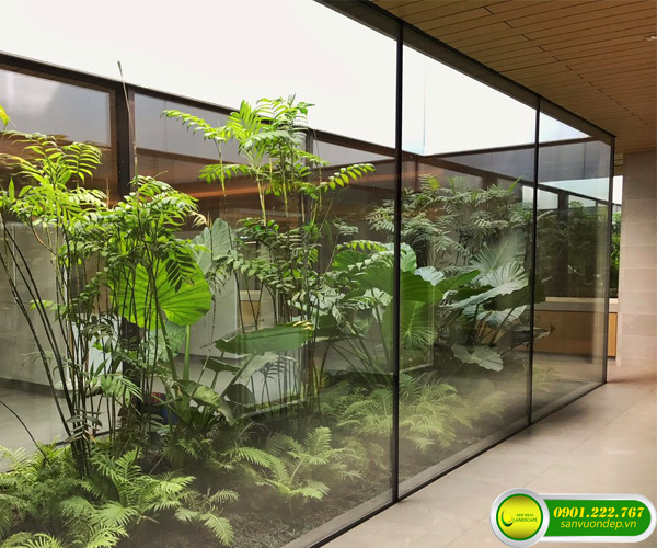 thi công tiểu cảnh giếng trời