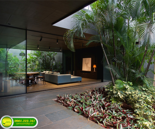 tiểu cảnh giếng trời