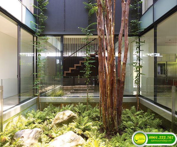 tiểu cảnh giếng trời