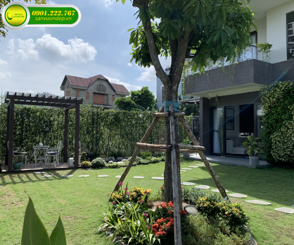 anh-thiet-ke-san-vuon-nha-pho