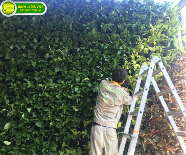 chăm sóc sân vườn nhà hàng