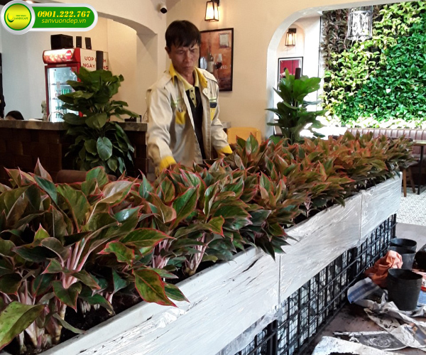 QUY TRÌNH THI CÔNG SÂN VƯỜN NHÀ HÀNG