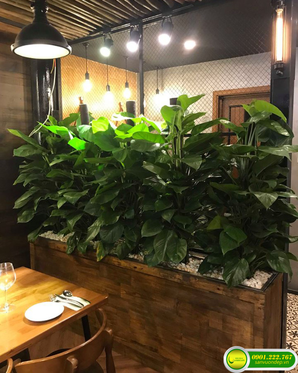 QUY TRÌNH THI CÔNG SÂN VƯỜN NHÀ HÀNG