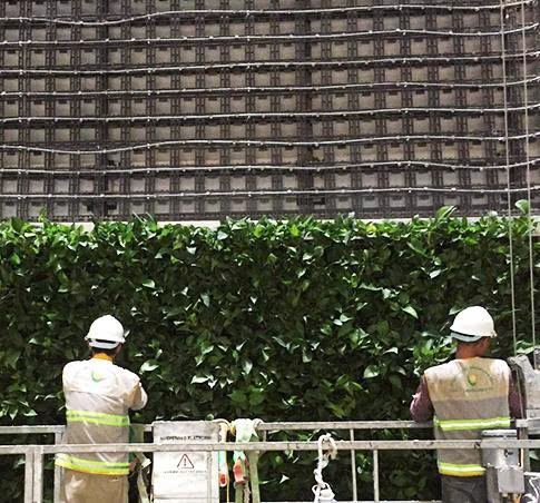 THIẾT KẾ THI CÔNG CẢNH QUAN KHÁCH SẠN POTIQUE- NHA TRANG