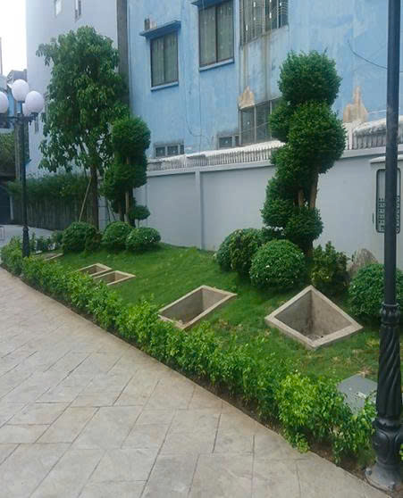 THIẾT KẾ CẢNH QUAN SÂN VƯỜN CHUNG CƯ