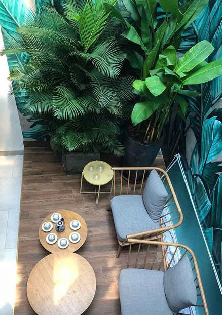 THIẾT KẾ VÀ THI CÔNG SÂN VƯỜN NHÀ PHỐ - CA SĨ HỒ QUANG HIẾU